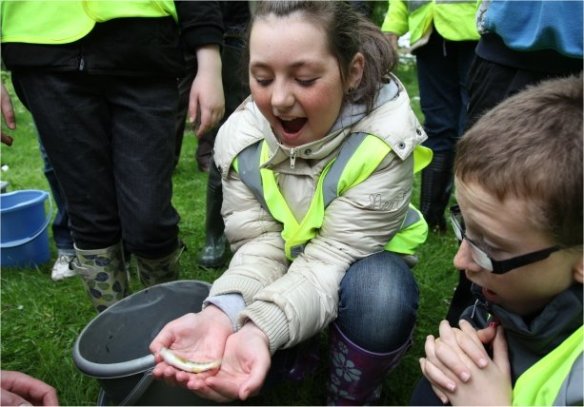 Finding salmon in the luggie - part of the Clyde River Foundation's Kids in the Kelvin project